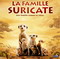 LA FAMILLE SURICATE